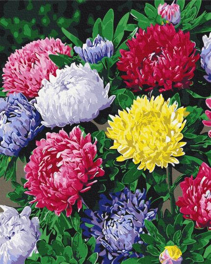 Картина за номерами "Brushme" /BS54120/ "Різнобарвні айстри" 40*50см