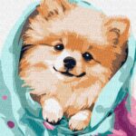 Картина за номерами "Ідейка" /KHO6545/ "Щасливий шпіц" 30*40см
