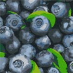 Картина за номерами "Ідейка" /KHO5650/ "Соковита лохина"25*25см