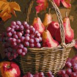 Картина за номерами "Ідейка" /KHO5725/ "Осінні фрукти" 30*40см