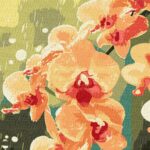 Картина за номерами "Ідейка" /KHO3325/ "Орхідея в краплях" 30*40см