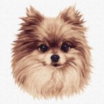 Картина за номерами "Ідейка" /KHO4298/  "Пухнасте диво" 30х30см