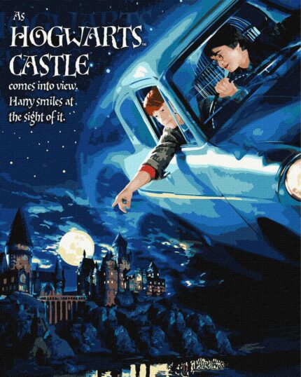 Картина за номерами "Ідейка" /KHO8719/ "Harry Potter: Політ на авто з фарбами металік" 40*50см