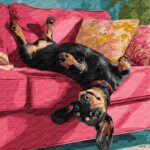 Картина за номерами "Диванна радість" 40*50см "Ідейка" (KHO6853)