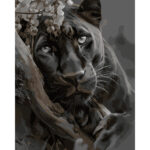 Картина за номерами "Чорна пантера", 40*50см "SANTI" (955763)