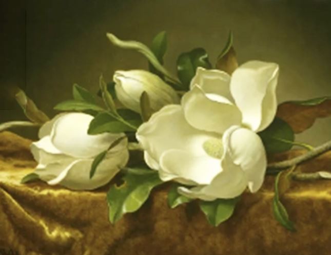 Алмазна мозаїка “Магнолії” 40х50 см на підрамнику Go to art (177285)