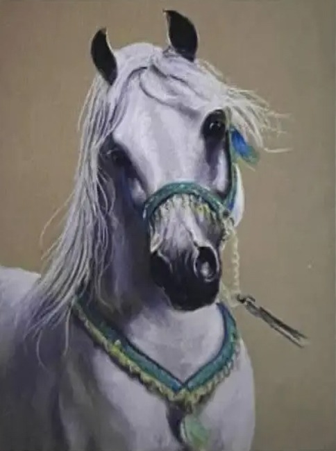 Алмазна мозаїка “Білий кінь” 20х30 см на підрамнику Go to art (178833)