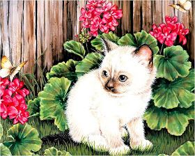 Алмазна мозаїка “Кошеня” 30х40 см у PVC JO (GLD60767 — GB70661_O)