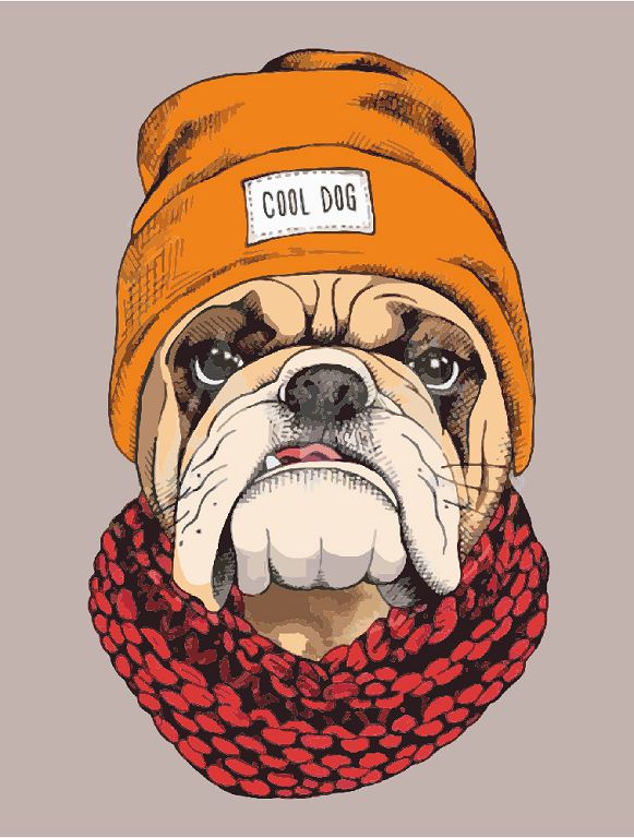 Картина на картоні з контуром "Pop Art Cool Dog" 30х40 см полотно на картоні ROSA START (GPA284314)