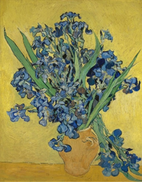 Алмазна мозаїка “Іриси” 30х40 см на підрамнику Go to art (189701)