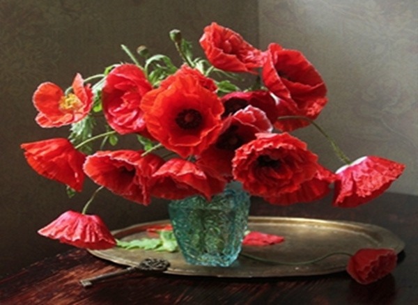 Алмазна мозаїка “Маки” 40х50 см Go to art (178704)