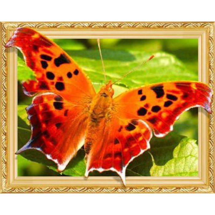 Алмазна мозаїка "Метелик" 40х50 см JO (0491ELT)