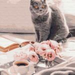 Картина за номерами "Brushme" /BS51927/ "Улюблений британець" 40*50см