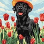 Картина за номерами "Ідейка" /KHO6621/ "Чарівний лабрадор" 30х40см